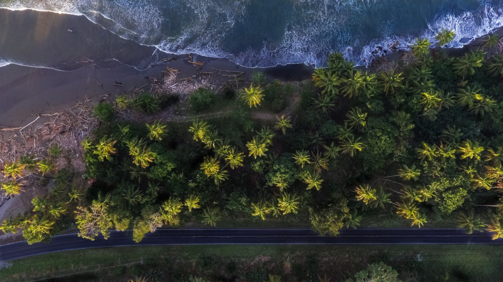 Landscape-level assessments